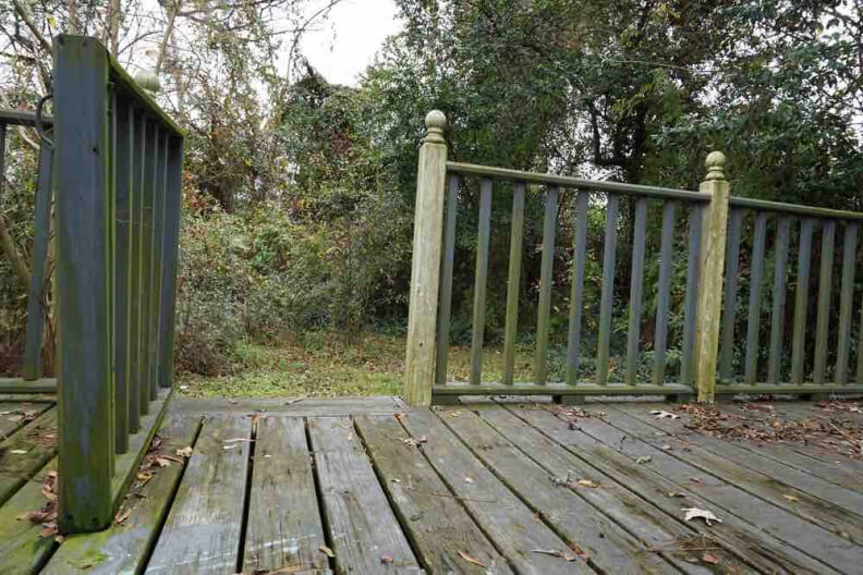 Removing algae from deck to keep up on maintenance