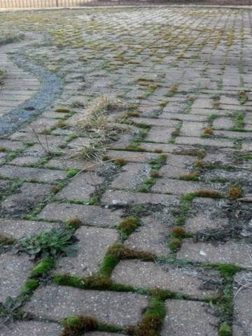 Paver Restoration Services in Chicagoland and the Illinois Area