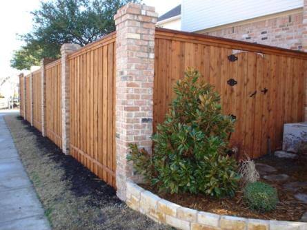 Fence Staining Services